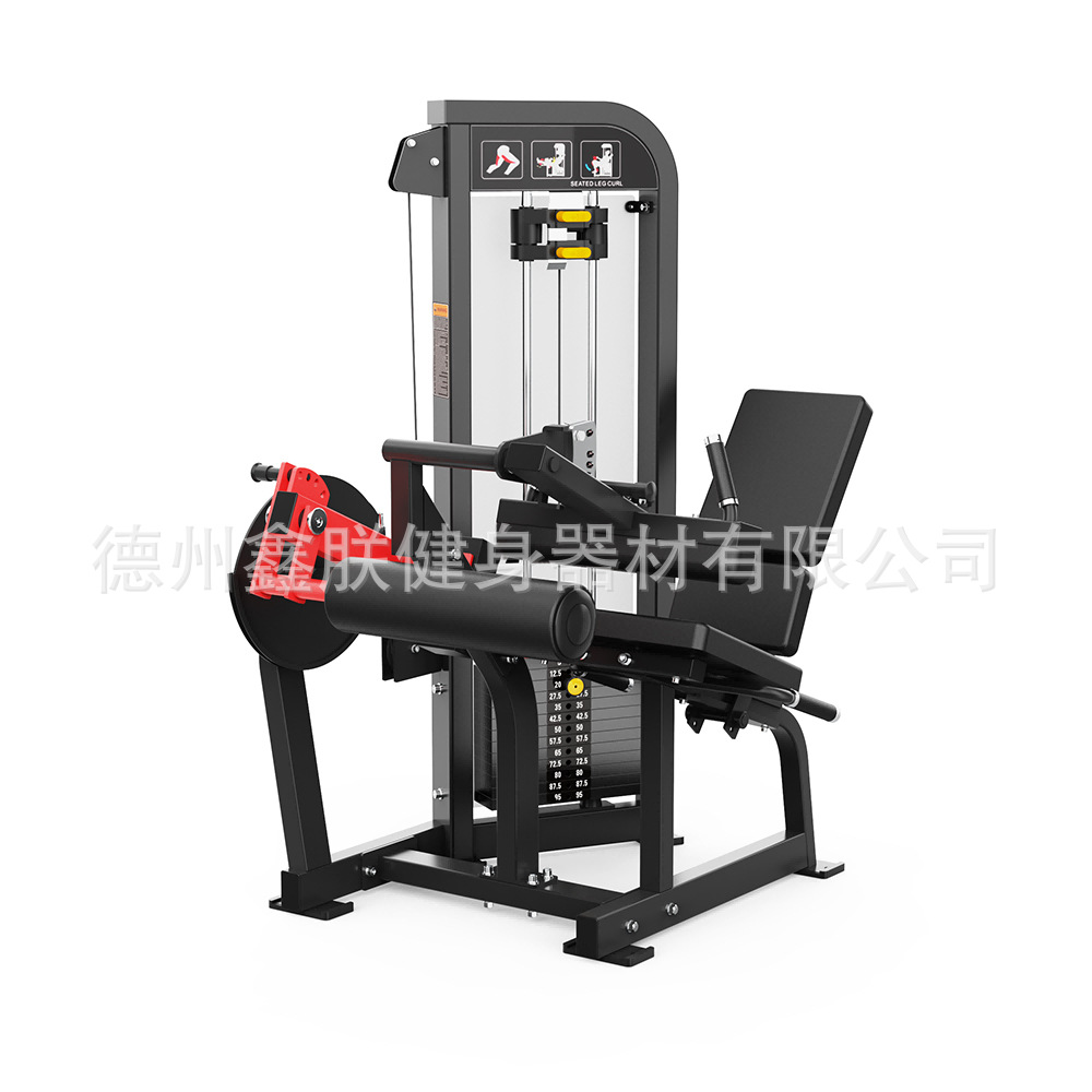 Gym Hammer Strength Equipment  - Home Gym Hammer Strength review and price