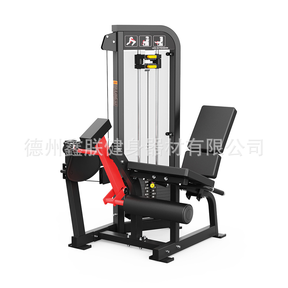 Gym Hammer Strength Equipment  - Home Gym Hammer Strength review and price