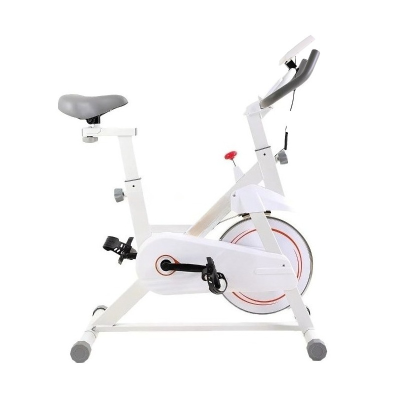 New Professional Spinning Bike - Home Gym Layout review and price