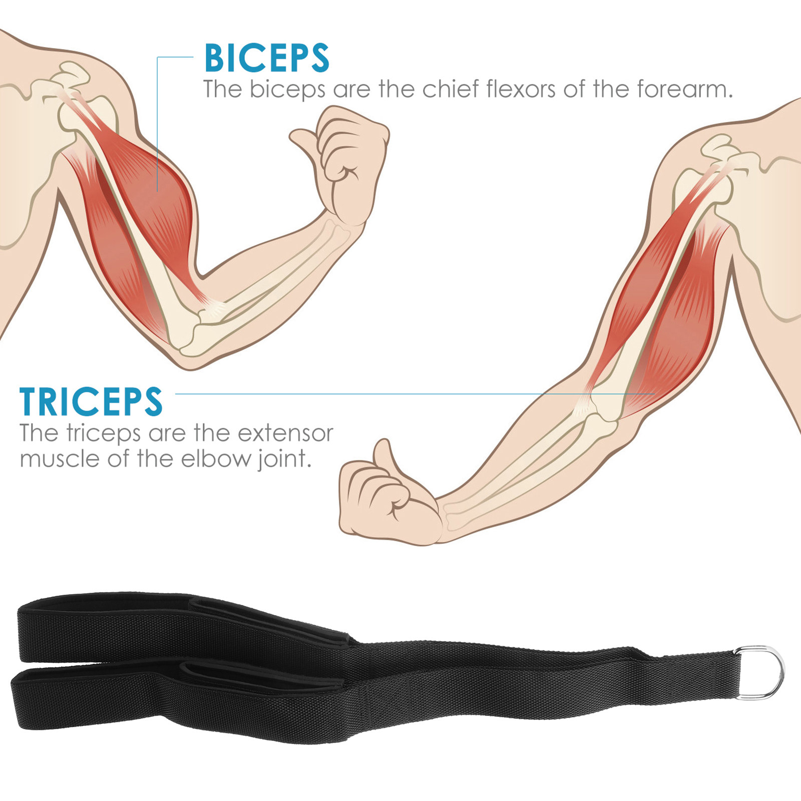 Dual Grip Tricep Pull Rope Hea - Home Gym Hammer Strength review and price