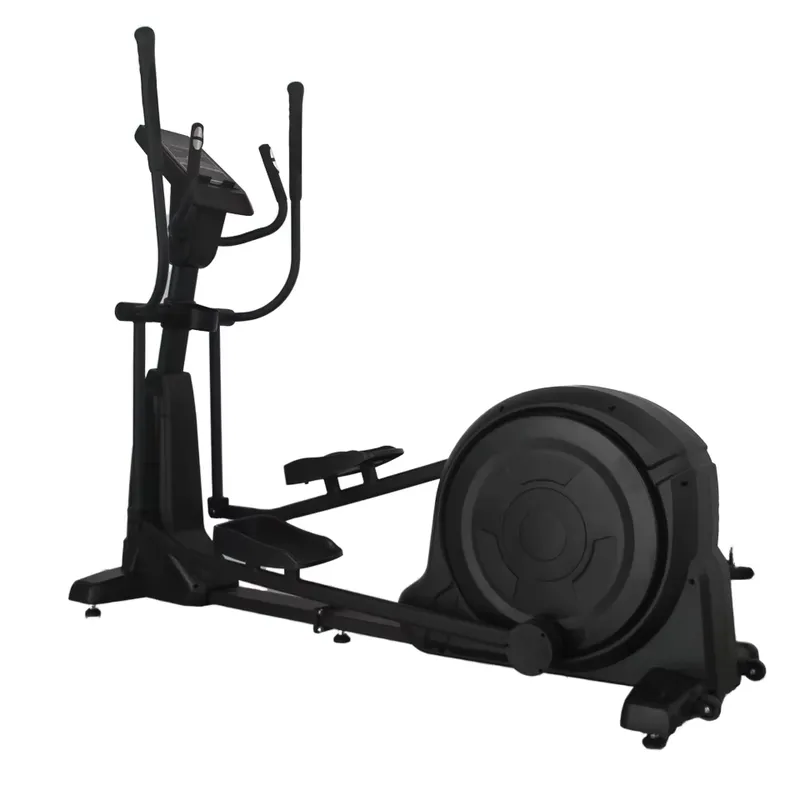 Commercial Electric Rotary Bic - Home Gym Cost review and price